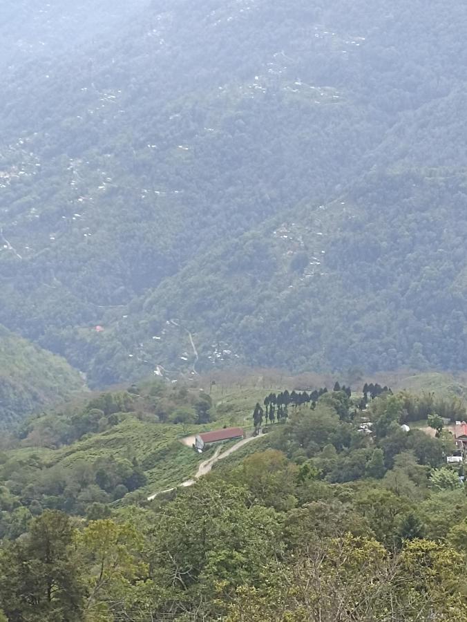Bastola Stay 大吉岭 外观 照片